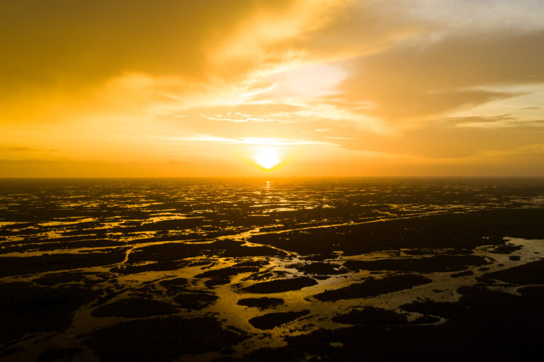 Aerial view of a golden sunset over the Everglades waterways, by Arte City Media